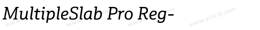 MultipleSlab Pro Reg字体转换